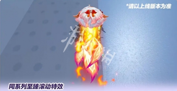 网16