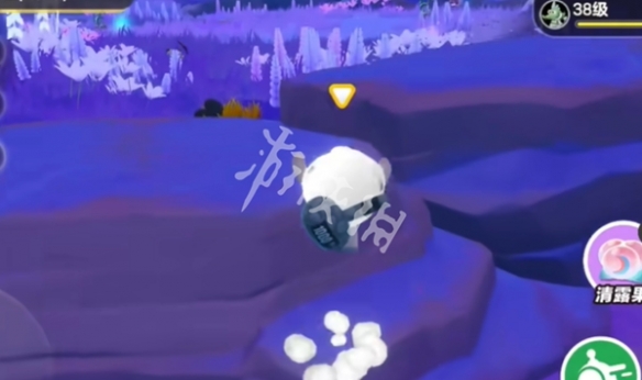 网5