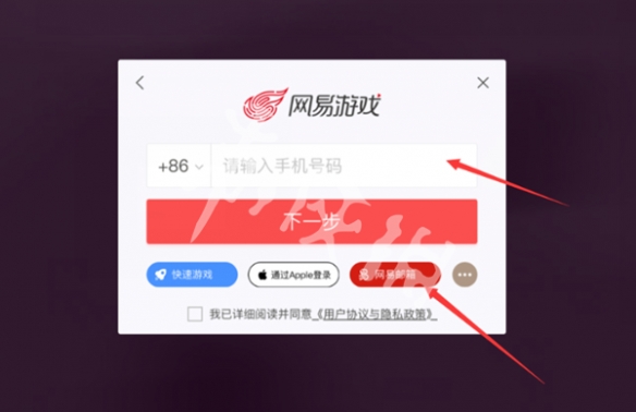 网6