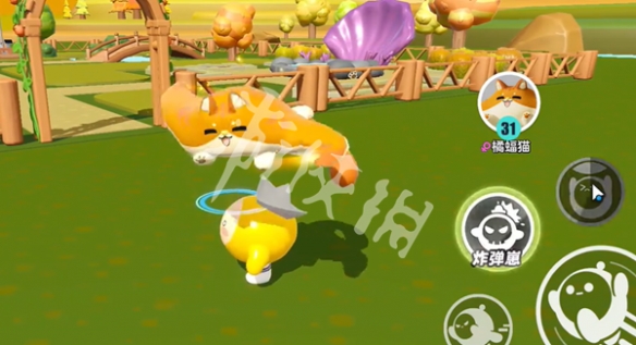 网2