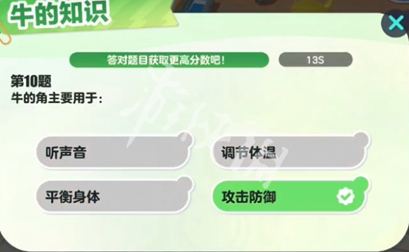 网11