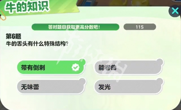 网7