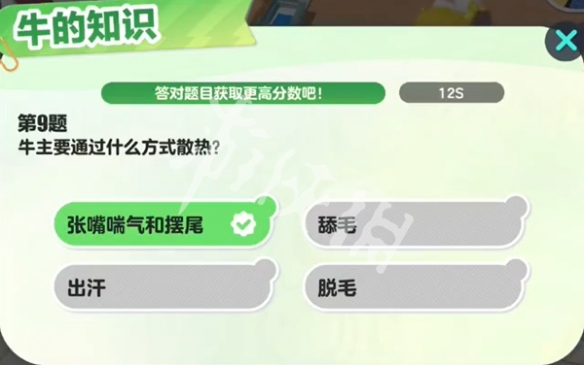 网10