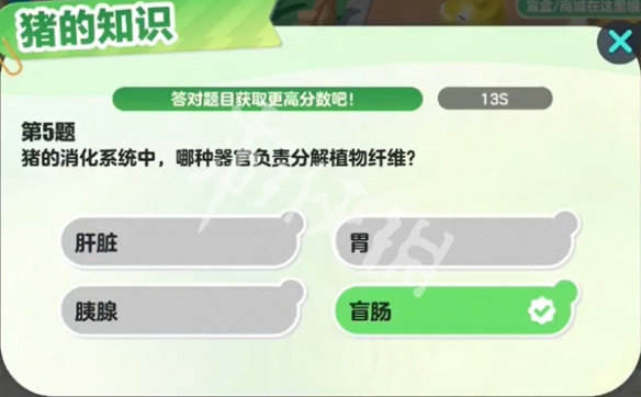 网6