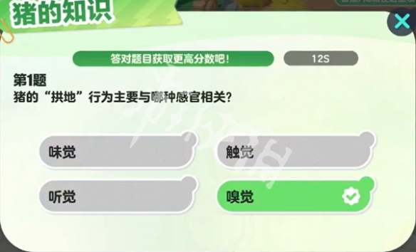网2