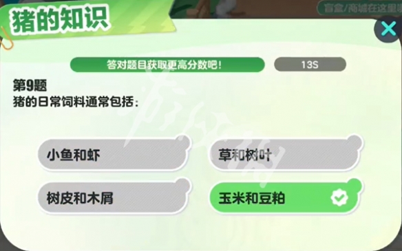 网10