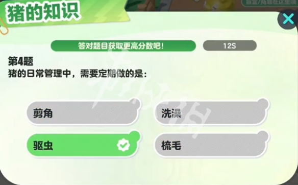 网5