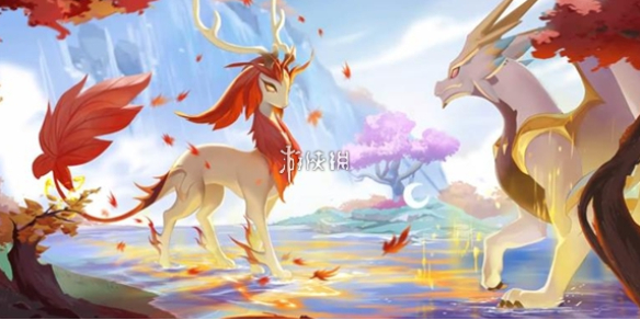 网1